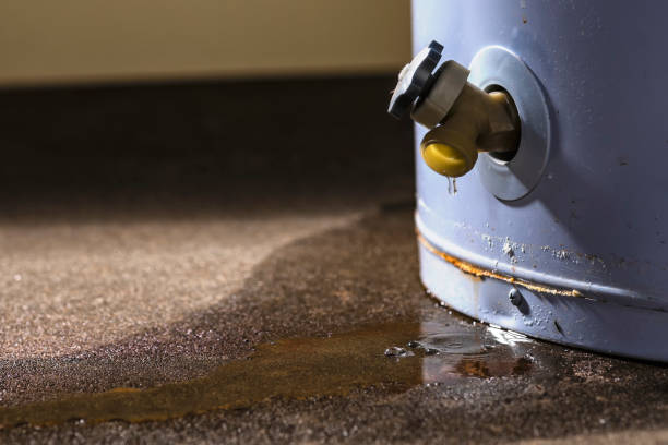 Best Flood restoration services  in Nashville, AR