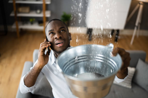 Best Mold removal after water damage  in Nashville, AR