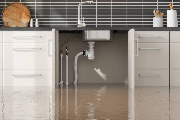 Best Ceiling water damage repair  in Nashville, AR
