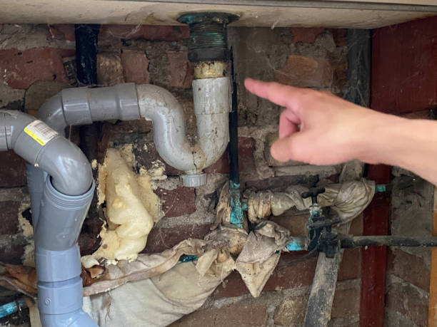 Best Fire Damage Restoration  in Nashville, AR