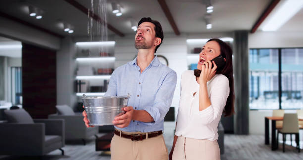 Best Water damage restoration near me  in Nashville, AR