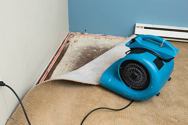 Best Flooded house restoration  in Nashville, AR